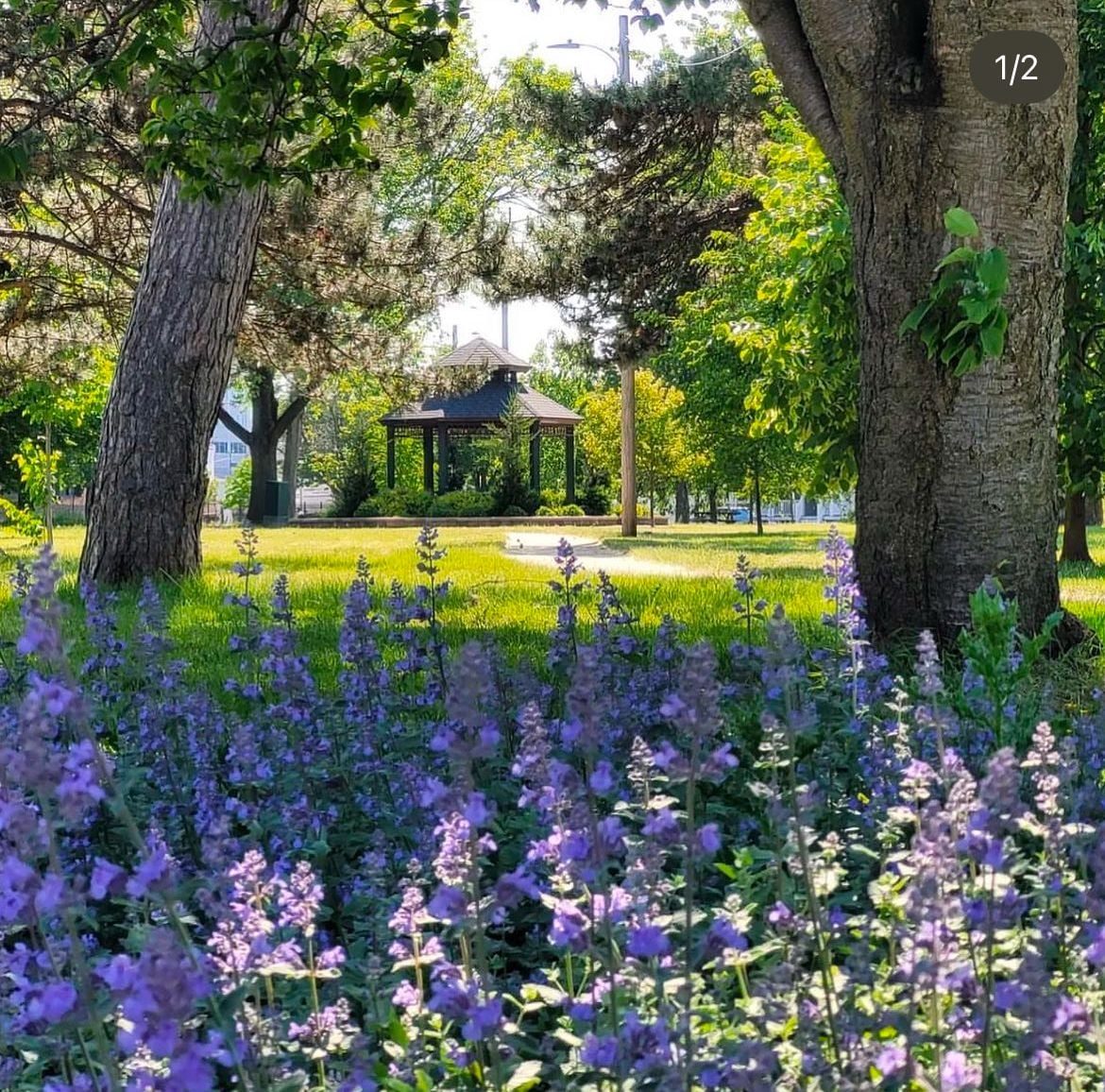 Neighborhood gardens on Park Avenue